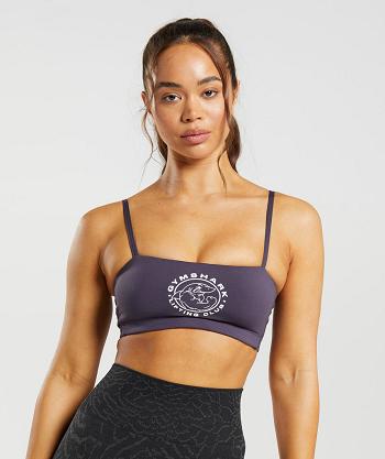 Sujetadores Deportivos Gymshark Legacy Bra Mujer Moradas | CO 2186CTV